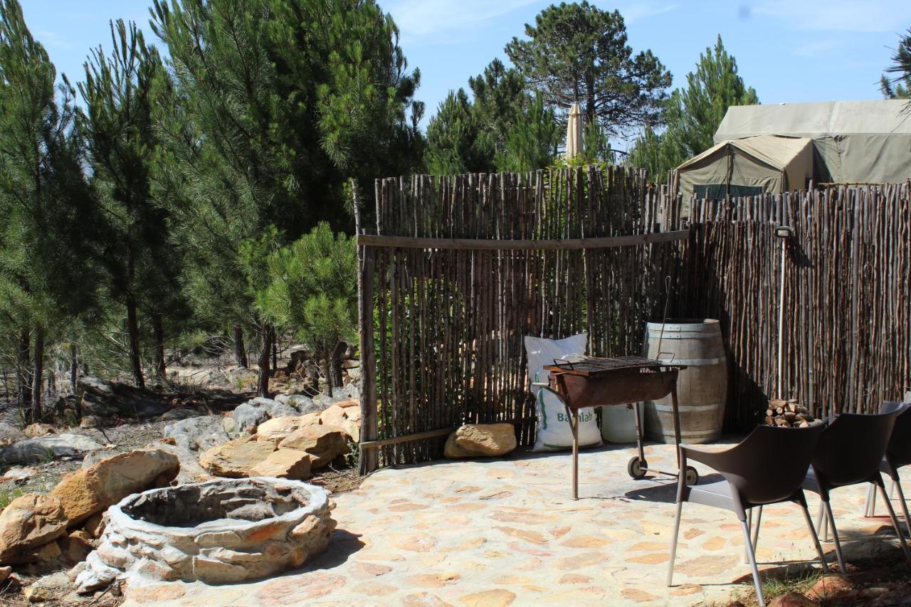 Otium Oasis Glamping & Camping Hartebeesrivier Exterior photo