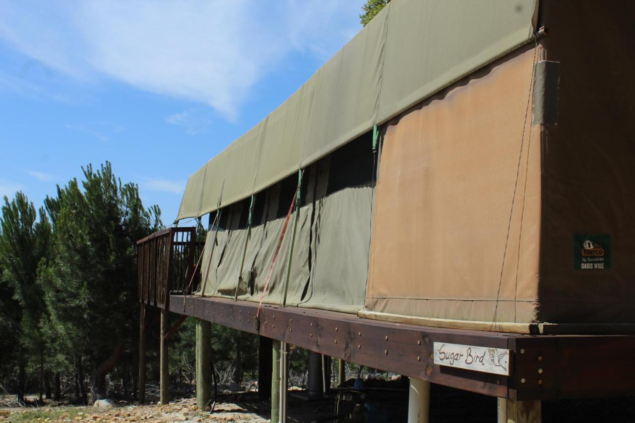 Otium Oasis Glamping & Camping Hartebeesrivier Exterior photo