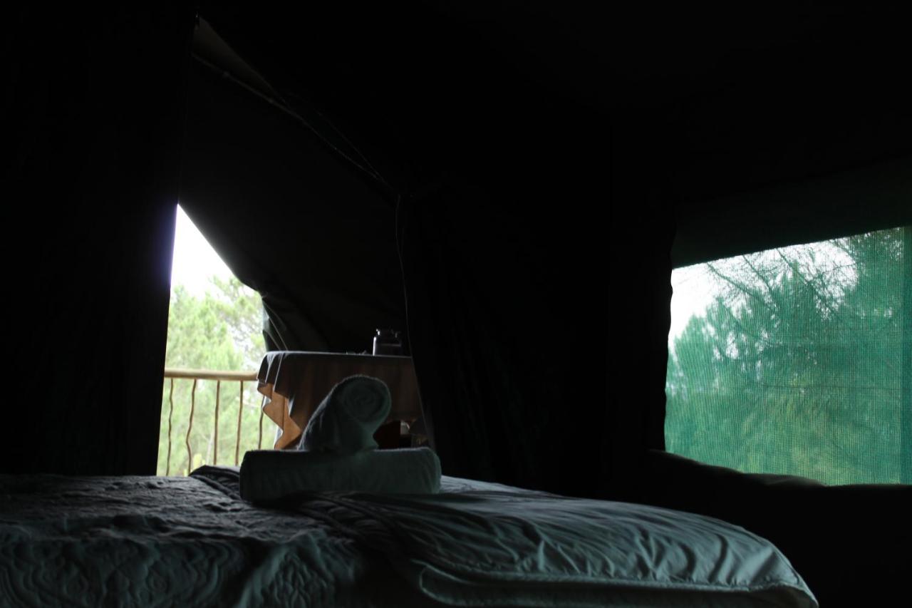 Otium Oasis Glamping & Camping Hartebeesrivier Exterior photo