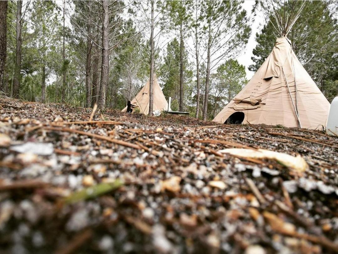 Otium Oasis Glamping & Camping Hartebeesrivier Exterior photo